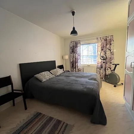 Lakeside Salmi ヴィラ ロヴァニエミ