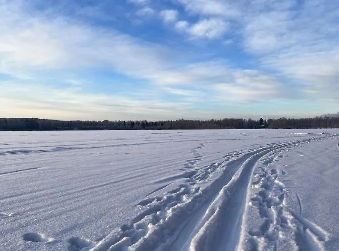 Βίλα Lakeside Salmi